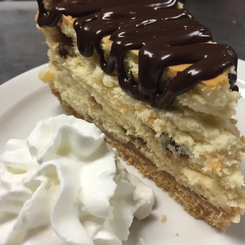 Turtle cheesecake slice with chocolate drizzle and whipped cream